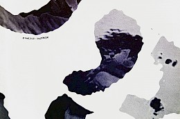 Main image for ParseRSS